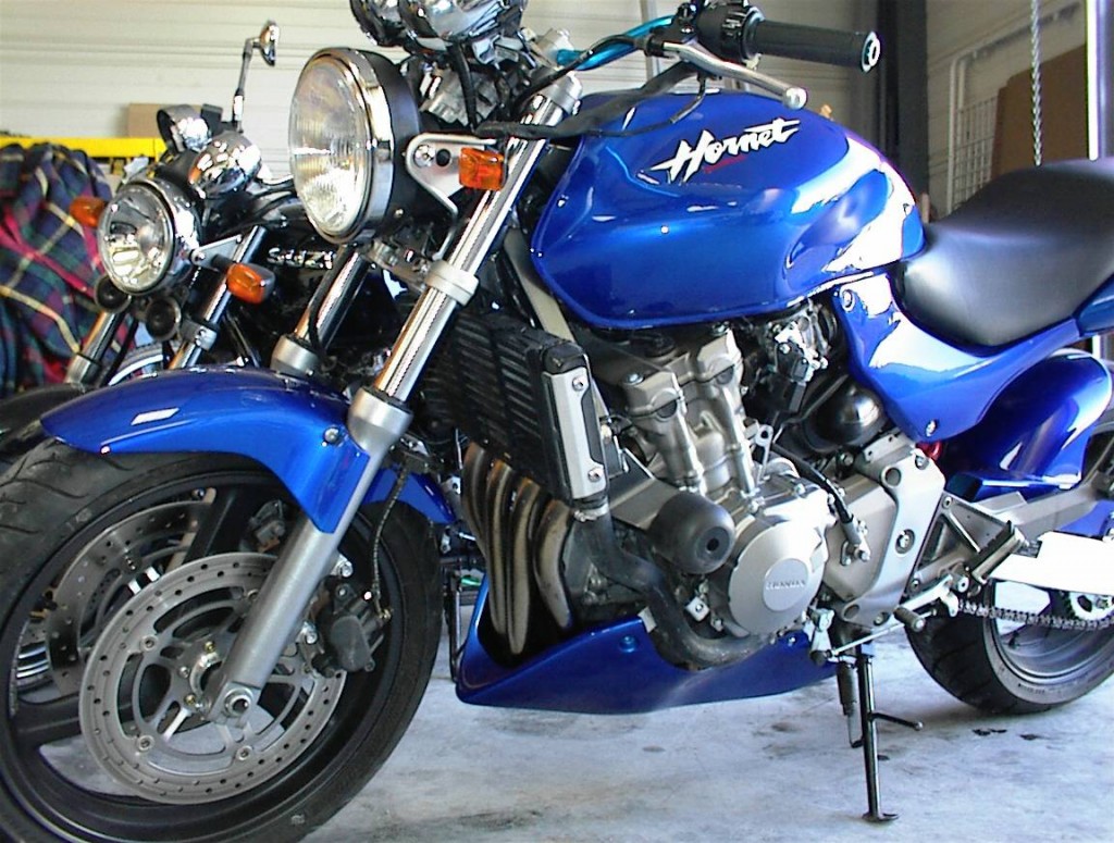 Hornet